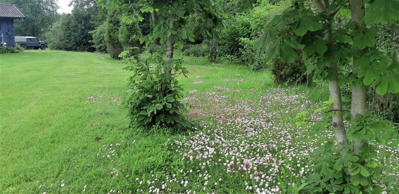 Saulepa Cottage Kültér fotó