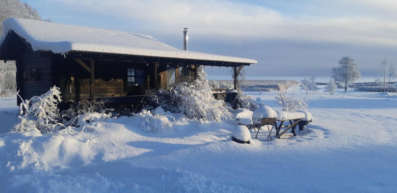 Saulepa Cottage Kültér fotó